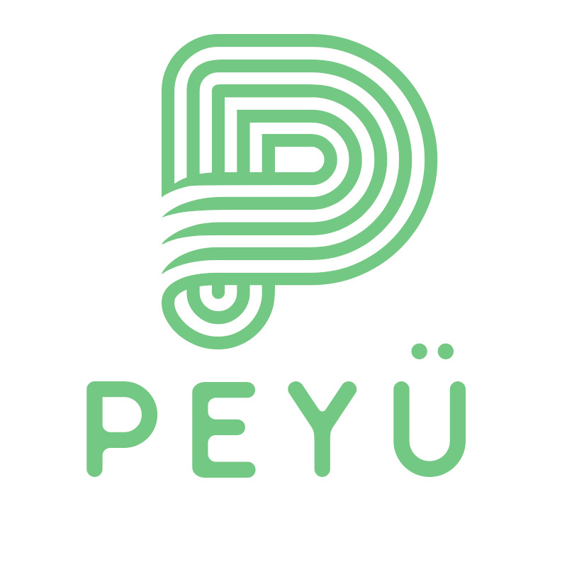 Logo Peyü